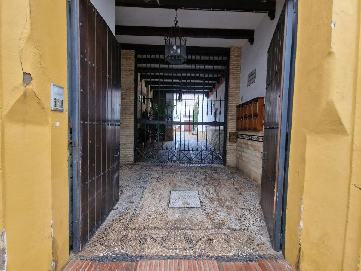 Ds Realejo-casco Historico Con Aparcamiento Apartment *